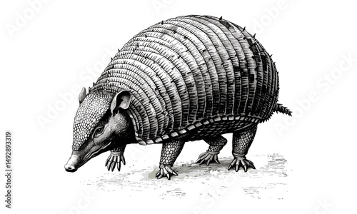 Vintage Armadillo Drawing, Black Sketch Effect, Hand-drawn Engraving Style, Antique Animal Illustration, Rustic Wildlife Decor, Nature Art, Trendy Vintage Wildlife Print