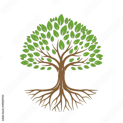 Illustration of a Tree with Roots and Leaves