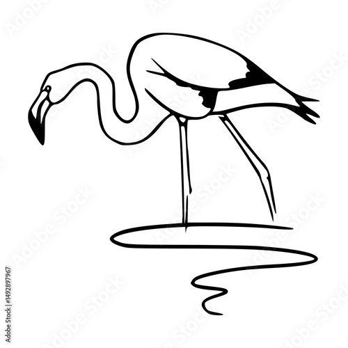 stylized flamingo line drawing