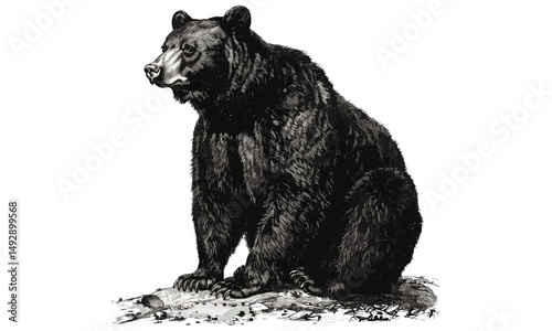 Rustic Animal Wall Print, Black Bear Sitting Upright, Monochrome Etching Art, Vintage Wildlife Illustration, Hand-etched Forest Animal, antique bear drawing, cabin wall art
