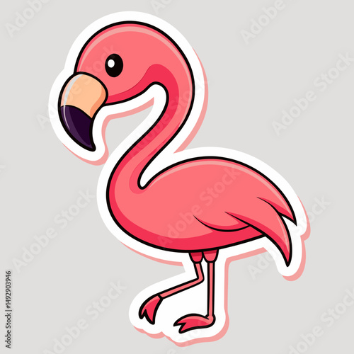 flamingo vector illustration