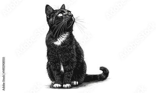 Cute Cat Drawing, Black Sketch, Detailed Pet Art, Vintage Engraving Style, Rustic Wildlife Illustration, Nature Print, Trendy Home Decor, animal lover decor, unique wall art, engraving artwork