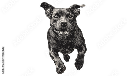 Vintage Dog Art, Running Dog Engraving, Hand-drawn Pet Illustration, Rustic Line Drawing, Black Sketch, Monochrome Animal Wall Decor, Antique Style Canine Print, Country Home Decor,