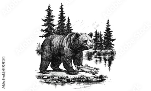 Black Sketch Effect, Engraved Bear with Salmon, Vintage Wildlife Art, Rustic Forest Print, Detailed Nature Illustration, Trendy Animal Decor, Wild Animals, Hand-drawn Sketch Art