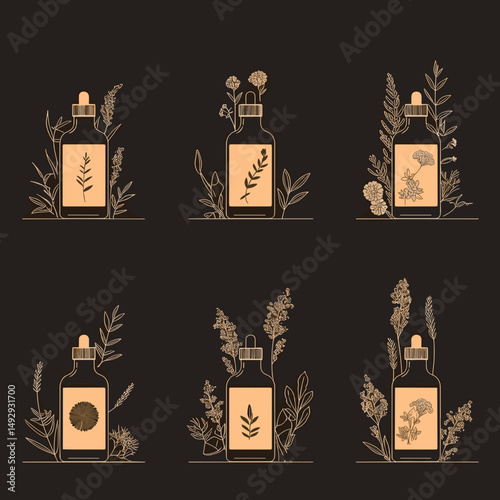 Botanic elixir: A collection of elegant graphic illustrations of apothecary bottles, each artfully adorned with various botanical elements.