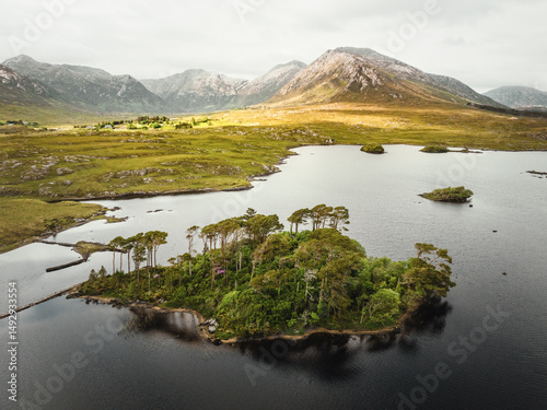Luftaufnahme von Pines Island im Derryclare Lough, Connemara, Irland