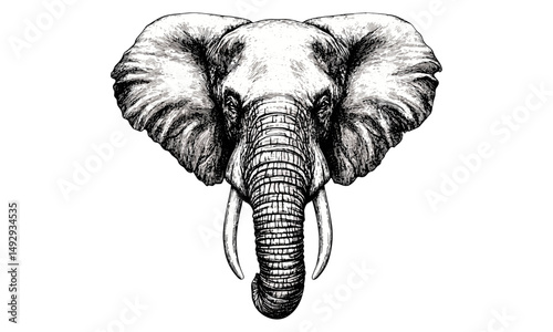 Engraved Elephant Head Drawing Vintage Style, Antique Engraving, Rustic Wildlife Illustration, Safari Animal Art, Black Sketch, Detailed Hand-drawn Nature Print, Old Rustic Wall Decor
