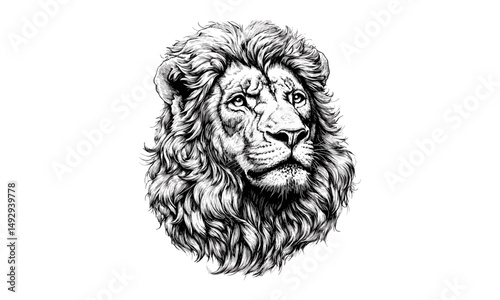 lack Sketch Lion Art, Engraved Detailed Drawing, Rustic Wildlife Decor, Antique Lion Illustration, Hand-drawn Vintage Design, Royal Wild Animal Wall Art