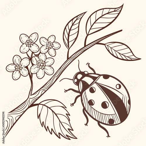 Stylized vector illustration of a ladybug on a flowering branch with leaves