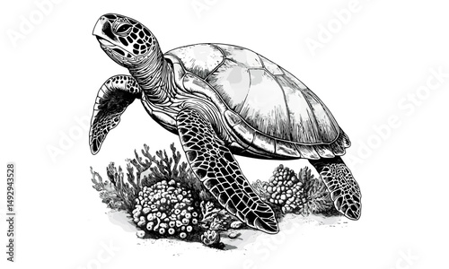 Engraved Sea Turtle Art, Hand-drawn Marine Animal, Vintage Illustration, Ocean Floor Sketch, Retro Coastal Decor, Detailed Animal Print, Nature Art, Black Engraving