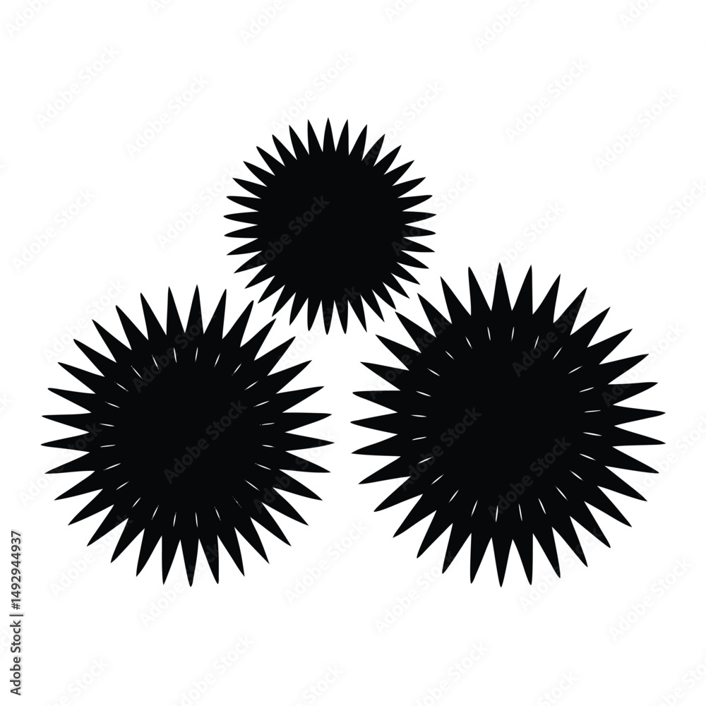 Fototapeta premium fishmonger element isolated sea urchins on white background 