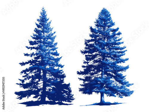 Evergreen Tree Duet: Two stately evergreen trees, captured in a vibrant blue hue against a crisp background, representing enduring natural beauty. 