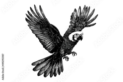 Trendy Cockatoo Bird Sketch, Monochrome Engraving Art, Vintage Hand-drawn Tropical Wildlife, Black Sketch Illustration, Exotic Bird, Tropical Nature, Wildlife Etching