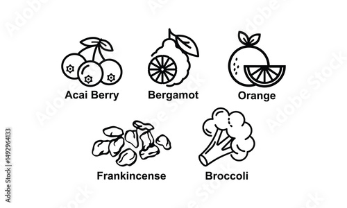 Icons of Superfoods and Botanicals – Acai, Bergamot, Orange, Frankincense, Broccoli