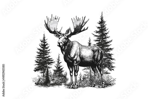 Moose Engraving in Forest, Monochrome Wildlife Sketch, Vintage Animal Art, Black and White Forest Illustration, Trendy Nature Decor, Old Style Etching, Retro Outdoor Art