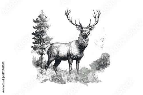 Monochrome Stag Engraving in Forest, Detailed Animal Print, Antique Wildlife Illustration, Rustic Fauna Drawing, Retro Mammal Etching, Vintage Nature Art, Trendy Wildlife Design