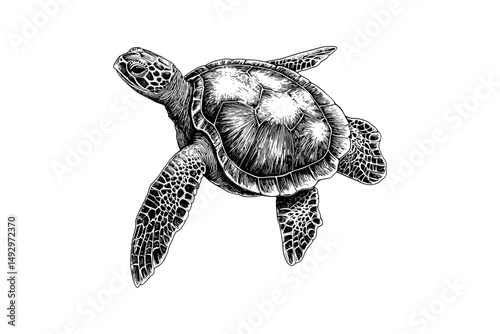 Sea Turtle Swimming Engraving, Vintage Hand-drawn Marine Animal, Monochrome Etching Style, Nautical Art, Old Sketch for Ocean Decor, Coastal Illustration, retro marine print,