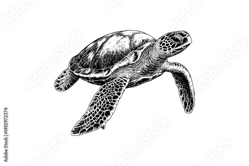 Hand-drawn Sea Turtle in Vintage Style, Monochrome Marine Animal Art, Nautical Ocean Creature Sketch, Black Etching, Retro Wildlife Illustration, marine wall art, coastal decor