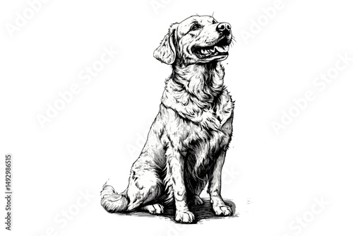 Golden Retriever Sitting, Rustic Animal Print, Vintage Dog Line Art, Monochrome Pet Drawing, Hand-etched Pet Illustration, Domestic Fauna Wall Art, trendy pet wall art