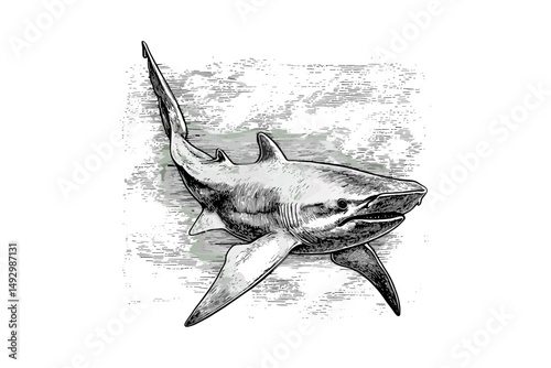 Hammerhead Shark Swimming, Vintage Ocean Creature Illustration, Hand-drawn Etching, Monochrome Marine Wildlife Art, Aquatic Animal Print, Black Sketch, Retro Sea Life Wall Art