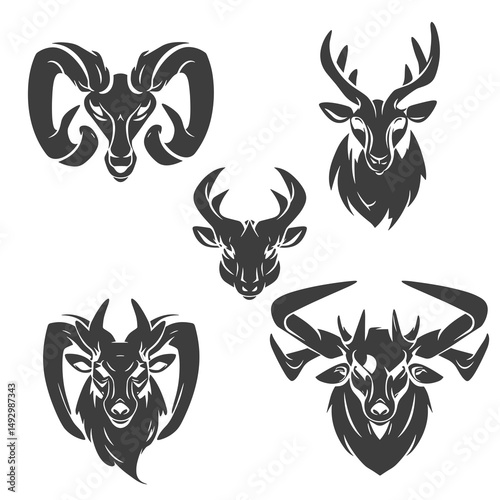 Symbolic Wilderness: A collection of meticulously designed animal head illustrations, celebrating the raw beauty of nature and wildlife, with a touch of artistic flair. 