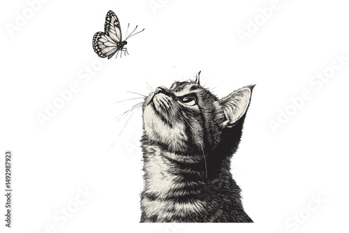 Rustic Wildlife Print, Hand-drawn Cat and Butterfly, Antique Line Art, Pet Sketch Design, Detailed Engraving, Cute Animal Wall Decor, Vintage Black Sketch, Old engraving style