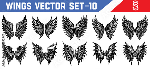 Black wing vector illustration set fantasy inspired angel and demon designs for spiritual tattoos digital artwork and mythological scenes.
