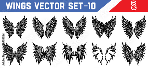 Black feathered wings vector illustrations bold and elegant angel and demon styles for gothic tattoos fantasy book covers and mythological projects.