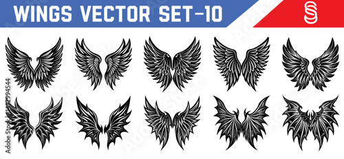Detailed black wings vector set angel and demon inspired designs for gothic fantasy artworks digital tattoos book covers and spiritual character design assets.