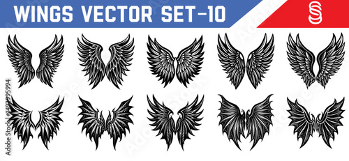 Black feather wings vector set fantasy design elements showcasing angelic grace and demonic power for use in gaming spiritual graphics and illustrations.