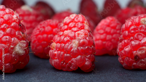 Obraz na plátně mold and fungus on raspberries close-up, berries, health hazard, expired product