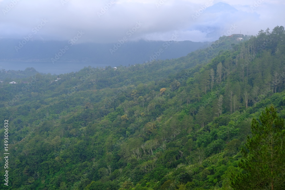 Fototapeta premium Green Forested Hills Covered in Misty Clouds with a Mystical Atmosphere