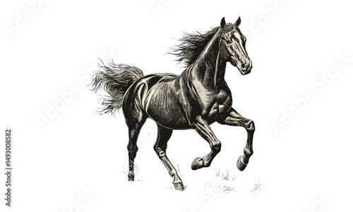 Hand-drawn horse engraving, vintage animal etching, rustic wildlife sketch, flowing mane line art, monochrome farm fauna illustration, black and white, old engraving style, classic nature drawing