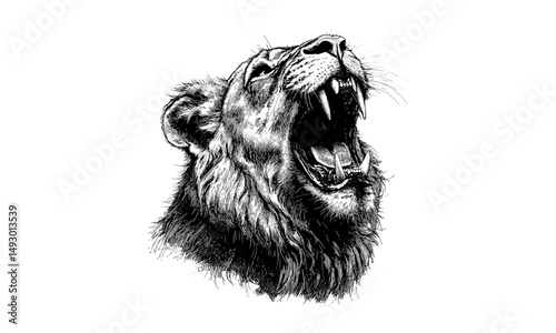 Lion Roaring Hand-drawn, Monochrome Wild Cat Line Art, Vintage Animal Etching, Rustic Nature Illustration, Old Engraving Style, detailed wildlife sketch, classic wildlife art