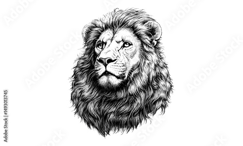 Detailed Lion Engraving with Mane, Vintage Wildlife Etching, Rustic Animal Print, Monochrome Wild Cat Line Art, Retro Fauna Drawing, Hand-drawn Nature Illustration, old engraving style
