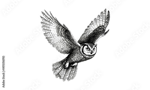 Vintage hand-drawn owl flying, monochrome engraving, bird of prey line art, detailed fauna drawing, rustic animal print, retro nature illustration, old style wildlife etching