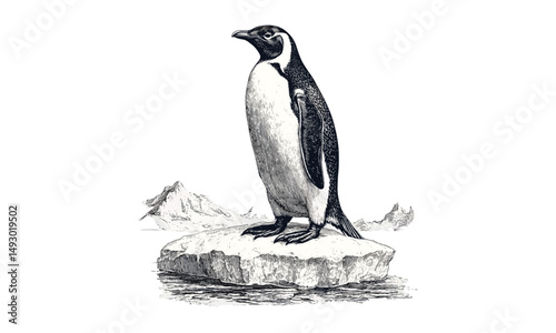 Vintage Hand-drawn Penguin Engraving, Monochrome Antarctic Fauna, Rustic Wildlife Illustration, Cold Climate Line Art, Black Sketch Etching, Nature Wildlife Artwork, trendy