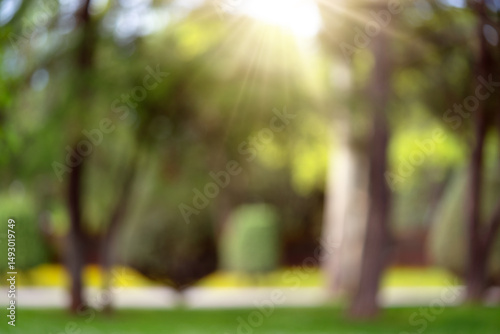Blurred view of a park. Blur nature green park with bokeh sun light abstract background