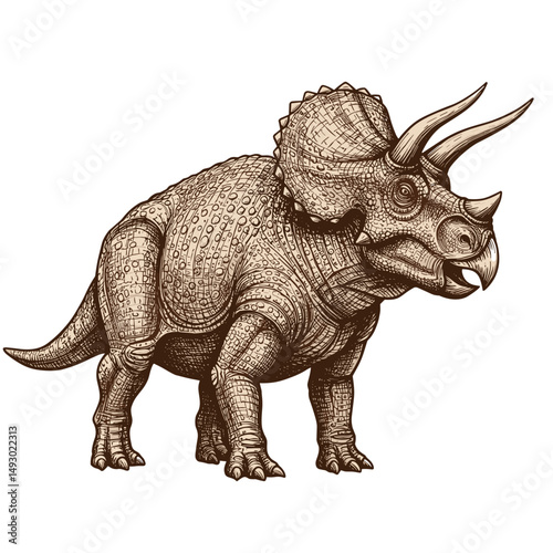 Illustration of a triceratops in a detailed sketch style