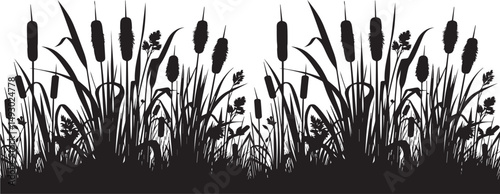 Silhouette of cattails and reeds. Wild grass on the river bank. Swamp coastal plants vector illustration.