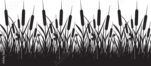 Silhouette of cattails and reeds. Wild grass on the river bank. Swamp coastal plants.