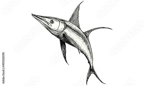 Retro Swordfish Leaping Sketch, Hand-drawn Vintage Marine Animal Etching, Old Nautical Wildlife Illustration, Rustic Ocean Life Engraving Print, trendy vintage black drawing,