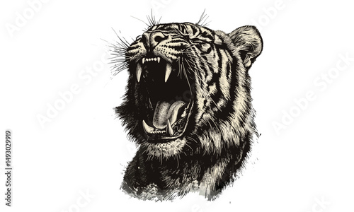 Hand-drawn roaring tiger vintage engraving, monochrome big cat sketch, trendy wildlife art print, jungle decor illustration, classic black etching style, wild animal wall decor