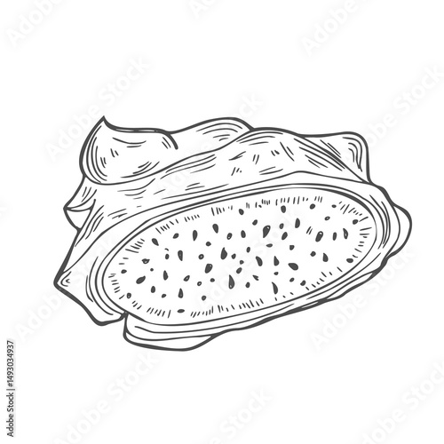 Pitahaya slice sketch. Dragon Fruit hand drawn doodle drawing. Tropical food in ink sketch style isolated. Vector manual illustration.