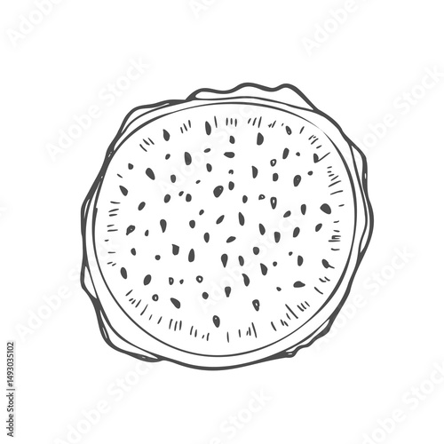 Dragon fruit slices in vector sketch. A piece of pitahaya