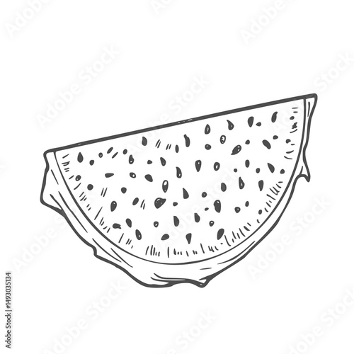 Dragon fruit slices in vector sketch. A piece of pitahaya