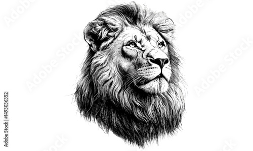 Detailed Hand-drawn Lion, Vintage Engraving Style, Wild Cat Illustration, Rustic Safari Design, Black Sketch Effect, Animal Print, Nature Wall Decor, flowing mane, trendy wildlife drawing