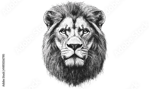 Vintage Animal Illustration, Hand-drawn Lion's Face, Black Sketch Effect, Rustic Safari Design, Detailed Jungle Print, Engraved Wild Cat Art, Nature Wall Decor, old engraving style