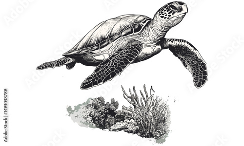 Vintage Sea Turtle Drawing, Engraved Marine Life, Black Sketch Effect, Rustic Seaside Decor, Detailed Ocean Design, Coastal Wildlife Print, Hand-drawn Nature Art, retro ocean illustration