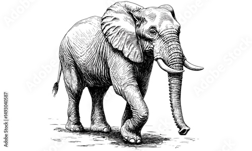 Vintage Safari Illustration, Hand-Etched Elephant, Engraved Wildlife Art, Rustic Nature Sketch, Black Sketch Effect, Old Engraving Style, African Animal Drawing, wall decor,